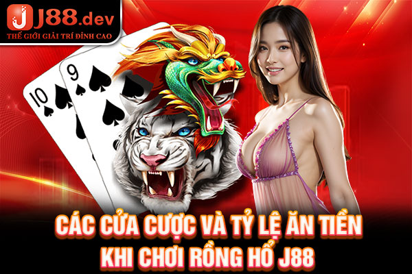 Các cửa cược và tỷ lệ ăn tiền khi chơi Rồng Hổ J88 Các cửa cược và tỷ lệ ăn tiền khi chơi Rồng Hổ J88