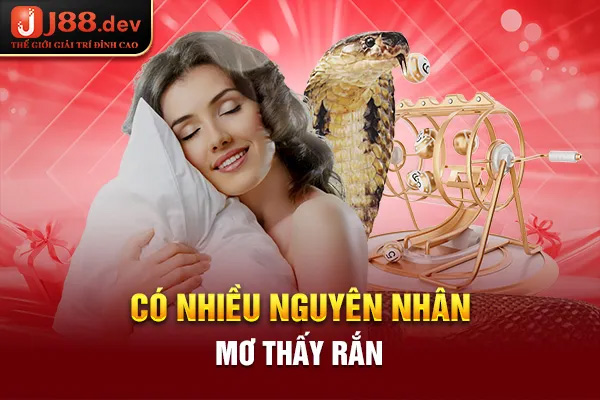Có nhiều nguyên nhân mơ thấy rắn
