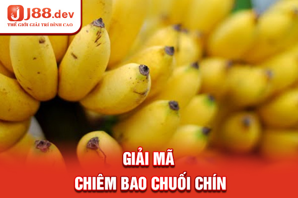 Giải mã chiêm bao chuối chín Giải mã chiêm bao chuối chín