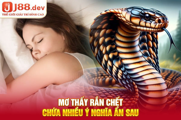 Mơ thấy rắn chết chứa nhiều ý nghĩa ẩn sau